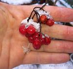     
: IMG_20180119_110702.jpg
: 19
:	128.1 
ID:	12519343