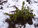     
: IMG_20180120_122424.jpg
: 14
:	283.5 
ID:	12519345