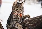     
: CQe8XafqQyw.jpg
: 5
:	99.9 
ID:	12520519