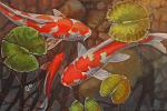     
: ribki_koi_litle.jpg
: 36
:	140.6 
ID:	12527165