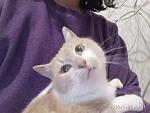     
: IMG_20180125_205159.jpg
: 19
:	95.3 
ID:	12527941