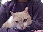     
: IMG_20180125_205215.jpg
: 17
:	98.4 
ID:	12527942