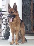    
: image-f40fd0d18c03e483929bd4feead68a8c-V.jpg
: 14
:	104.1 
ID:	12529211