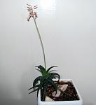     
: IMG_6736.jpg
: 10
:	52.2 
ID:	12529264