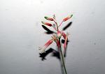     
: IMG_6734.JPG
: 11
:	150.5 
ID:	12529270