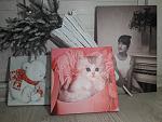     
: IMG-a6ab41ea4406c5c675db696b69904974-V.jpg
: 48
:	123.5 
ID:	12530928