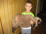     
: IMG_1180.jpg
: 6
:	117.6 
ID:	12532223