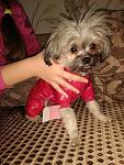     
: IMG_20171213_185245.jpg
: 4
:	125.8 
ID:	12536885