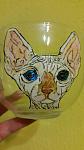     
: IMG_20170912_124518_12.jpg
: 6
:	59.5 
ID:	12536943