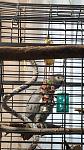    
: IMG_7793.jpg
: 21
:	65.4 
ID:	12537905
