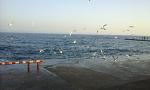     
: 20180202_155442.jpg
: 34
:	90.3 
ID:	12540444