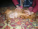     
: DSCN4929.jpg
: 27
:	164.7 
ID:	1254048