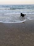     
: P80202-160556.jpg
: 14
:	146.4 
ID:	12540916