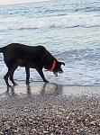     
: P80202-160855.jpg
: 11
:	157.1 
ID:	12540919