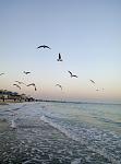     
: P80202-163818.jpg
: 26
:	68.7 
ID:	12540959