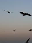     
: P80202-163919.jpg
: 26
:	33.1 
ID:	12540960