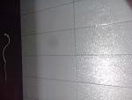     
: DSC_0013.jpg
: 20
:	75.6 
ID:	12542560