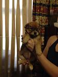     
: IMG-a4e2a70747e0b9d3d8a02e83754b1f45-V.jpg
: 86
:	61.1 
ID:	12543969
