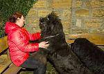     
: IMG_4426.jpg
: 43
:	164.3 
ID:	12546818