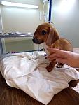     
: слабенький пла&#10.jpg
: 8
:	73.7 
ID:	12548234