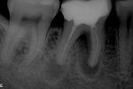     
: 1_46_02_03_2010.JPG
: 16
:	25.2 
ID:	12549153