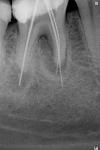     
: 2_46_04_03_2010.JPG
: 19
:	67.3 
ID:	12549154