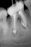     
: 3_46_05_03_2010.JPG
: 15
:	27.1 
ID:	12549155
