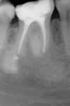     
: 7_46_07_07_2015.jpg
: 19
:	45.1 
ID:	12549157