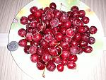     
: 20180212_142250.jpg
: 21
:	188.5 
ID:	12557399