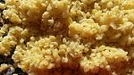     
: 20180125_121421.jpg
: 39
:	107.1 
ID:	12559324
