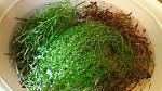     
: 20180131_194445.jpg
: 15
:	188.3 
ID:	12561214