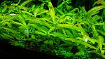     
: 20180213_155812.jpg
: 12
:	149.6 
ID:	12561215