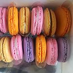     
: 57865034-A5F2-4E81-8EFE-0B1247417731.jpg
: 4
:	80.6 
ID:	12561428