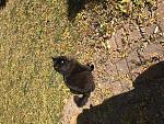     
: IMG_1905.jpg
: 20
:	306.0 
ID:	12566969