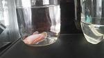     
: 20180219_095120.jpg
: 79
:	69.2 
ID:	12568298