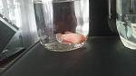     
: 20180219_095104.jpg
: 91
:	64.2 
ID:	12568300