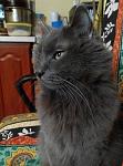     
: IMG_20180218_221956.jpg
: 9
:	101.3 
ID:	12568730