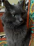     
: IMG_20180218_222012.jpg
: 10
:	99.9 
ID:	12568731