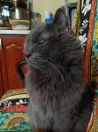     
: IMG_20180218_222026.jpg
: 9
:	104.2 
ID:	12568732
