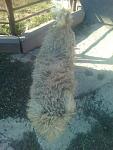     
: e262053c4895.jpg
: 8
:	72.6 
ID:	12570679