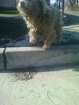     
: 3983b71438aa.jpg
: 8
:	71.3 
ID:	12570680