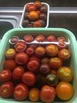     
: IMG_2423.jpg
: 21
:	9.5 
ID:	12572751