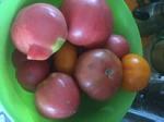     
: IMG_2424.jpg
: 20
:	6.9 
ID:	12572753