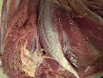     
: IMG_9032.jpg
: 83
:	143.8 
ID:	12576173