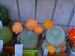     
: foto_060611_112223.jpg
: 46
:	75.5 
ID:	125764
