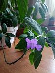     
: P80224-154040.jpg
: 7
:	82.0 
ID:	12576707