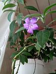     
: P80224-154706.jpg
: 4
:	73.1 
ID:	12576708