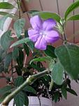     
: P80224-154723.jpg
: 4
:	73.6 
ID:	12576709