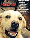     
: IMG-d494dd8f9db29415af8eb6db95e413a2-V.jpg
: 7
:	168.6 
ID:	12577896