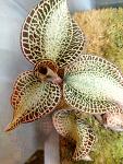     
: IMG_20180225_210940.jpg
: 15
:	117.1 
ID:	12579106